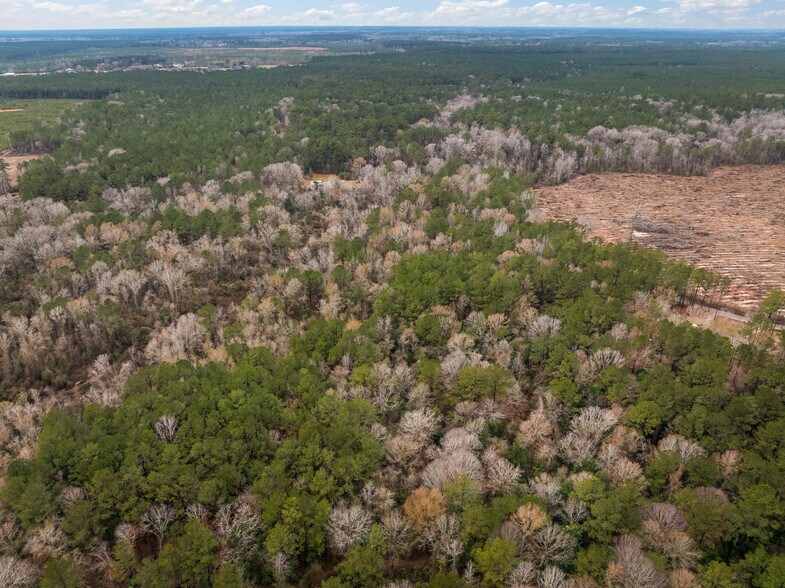 More Photos Of TBD 25 acres Tatoo Road, Glenmora Land For Sale