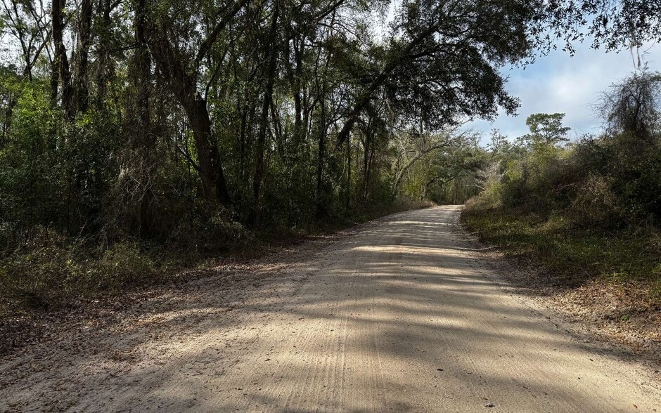 Primary Photo Of TBD 59th Dr, Wellborn Land For Sale