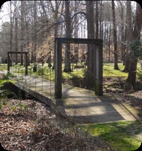 More Photos Of 113 Edinburgh Dr S, Cary Office For Lease