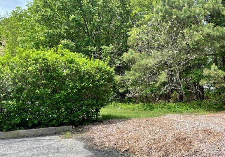 More Photos Of 0 East Main St, Tuckerton Land For Sale