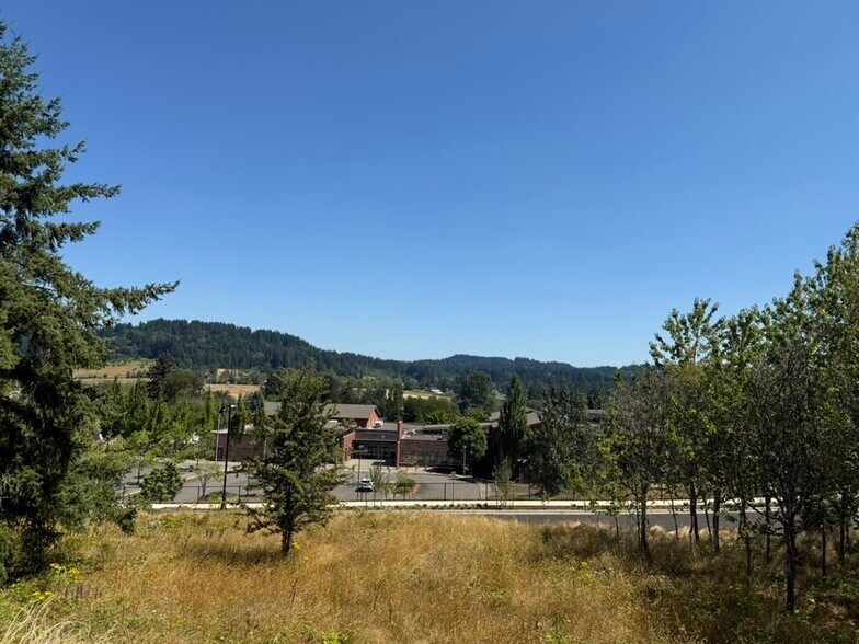 More Photos Of 10811 SE 172nd Ave, Happy Valley Land For Sale