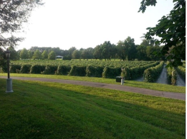 More Photos Of 2982 Harvey Bowden Rd, Paris Winery Vineyard For Sale