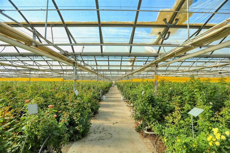 More Photos Of 885 Mesa Rd, Nipomo Industrial For Sale