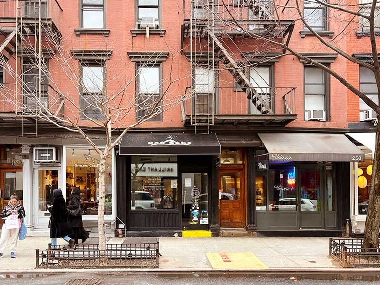 More Photos Of 250 Elizabeth St, New York Apartments For Lease