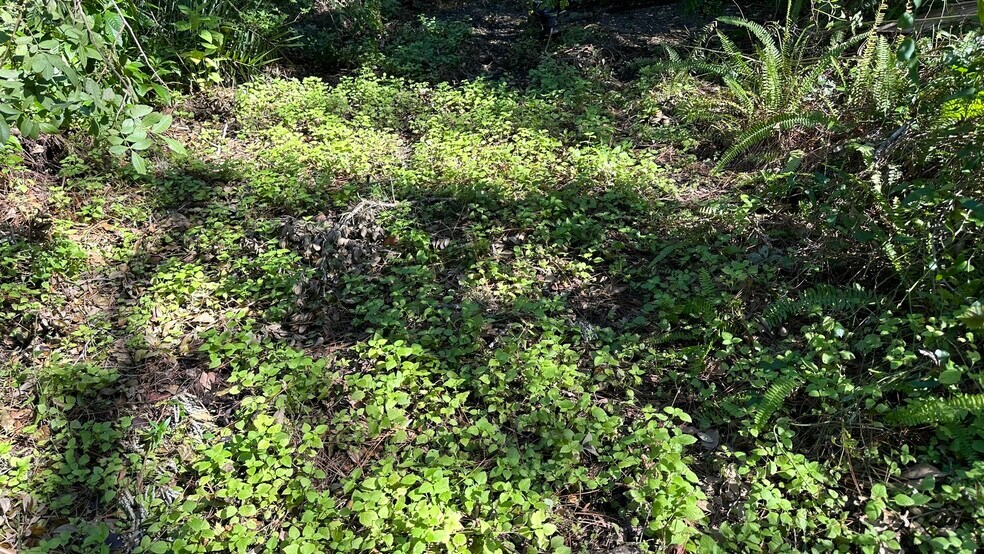 More Photos Of 1676 Hermosa Dr, Palm Harbor Land For Sale