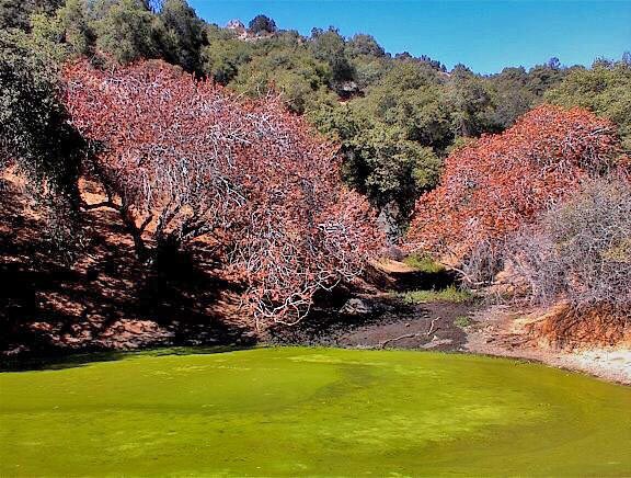 More Photos Of 38176 Cardinal, Yokuts Valley Land For Sale
