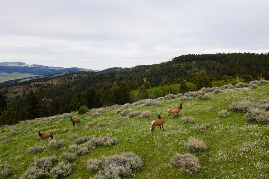 More Photos Of 3 Trail Creek Rd, Bozeman Land For Sale