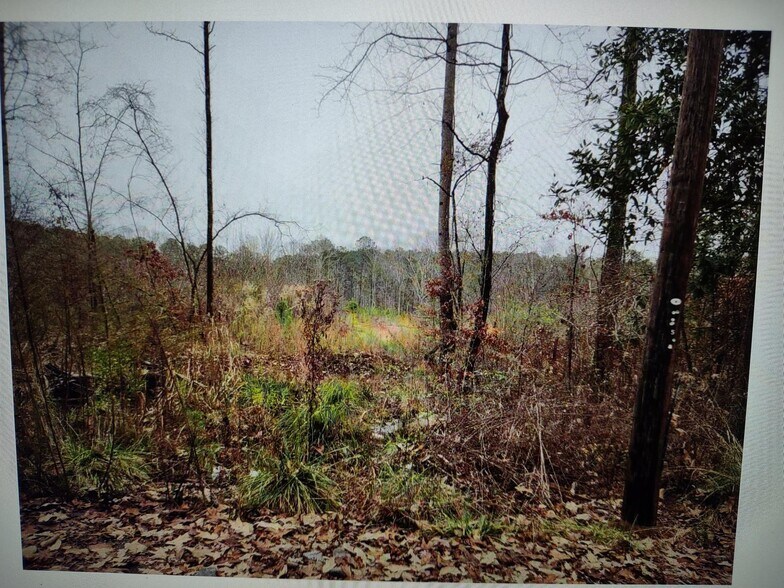 More Photos Of 5461 Stonewall Tell Rd, College Park Land For Sale