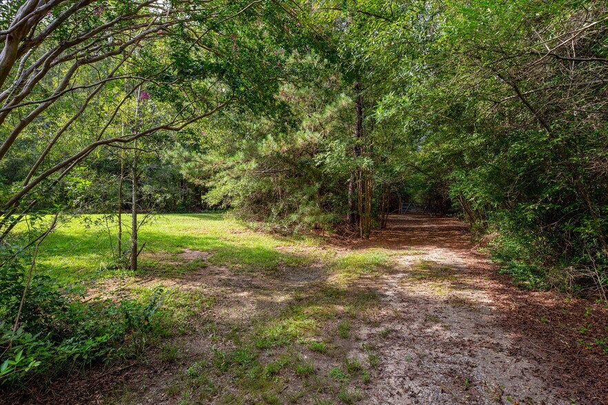 More Photos Of 737 Burnt Mill Creek Rd, Mountville Land For Sale