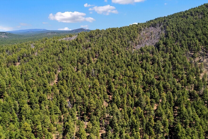 More Photos Of 00 Ponderosa Dr, Flagstaff Land For Sale