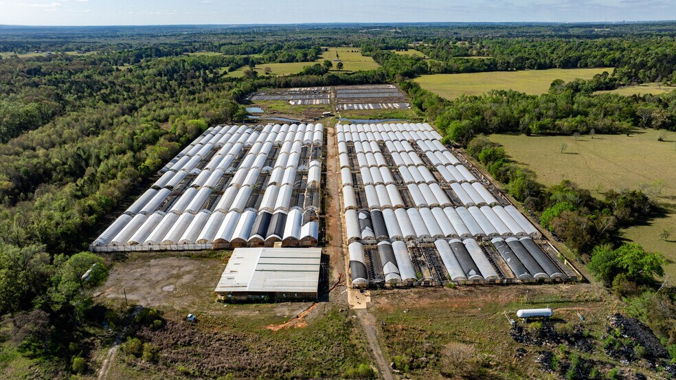More Photos Of 11888 County Road 345, Winona Land For Sale