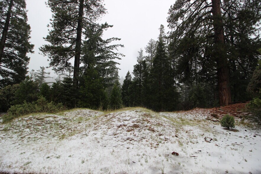 More Photos Of 0 Whitefir Dr, Lake Arrowhead Land For Sale