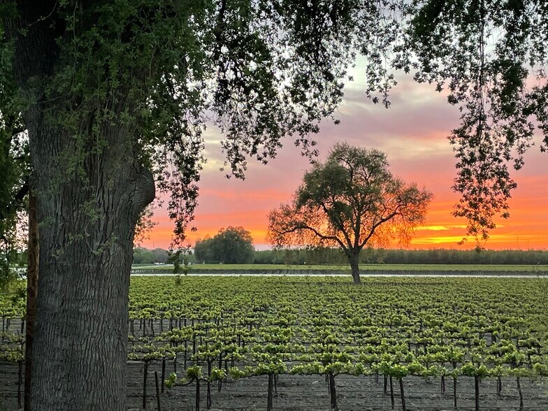 More Photos Of 18896 Grangeville Blvd, Lemoore Specialty For Sale