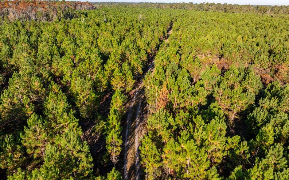 More Photos Of CR 137, Wellborn Land For Sale