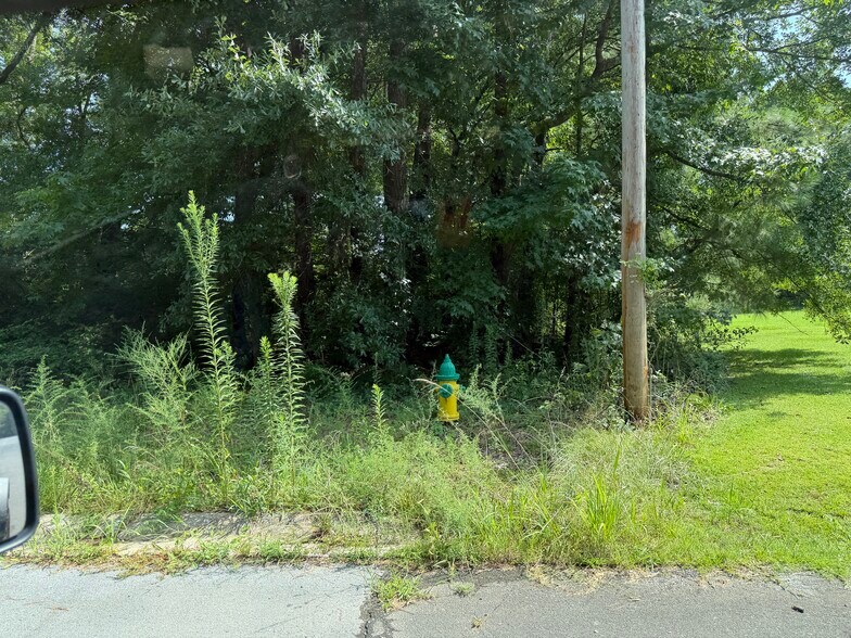 More Photos Of Camelot Circle, Talladega Land For Sale