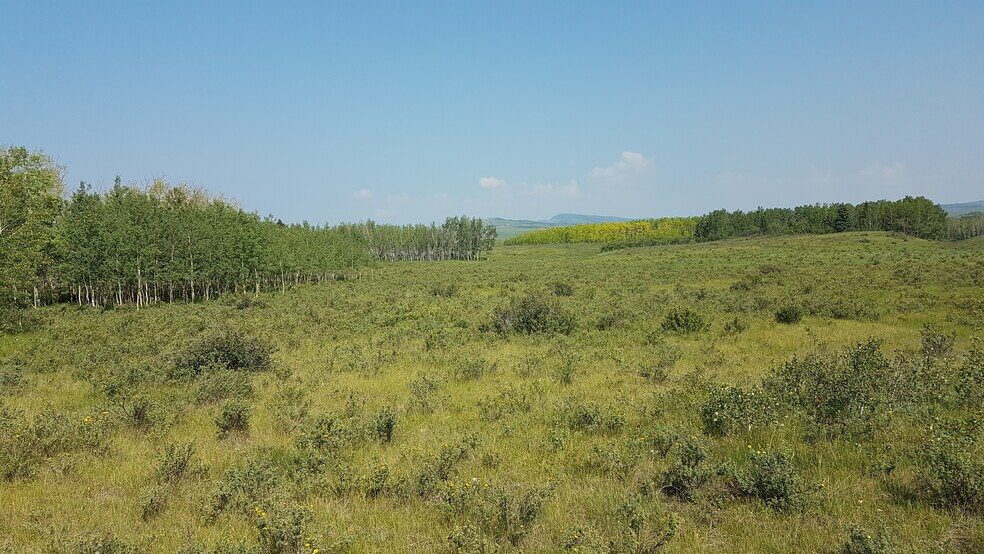 More Photos Of 1 Bow River, Rocky View No 44 Land For Sale