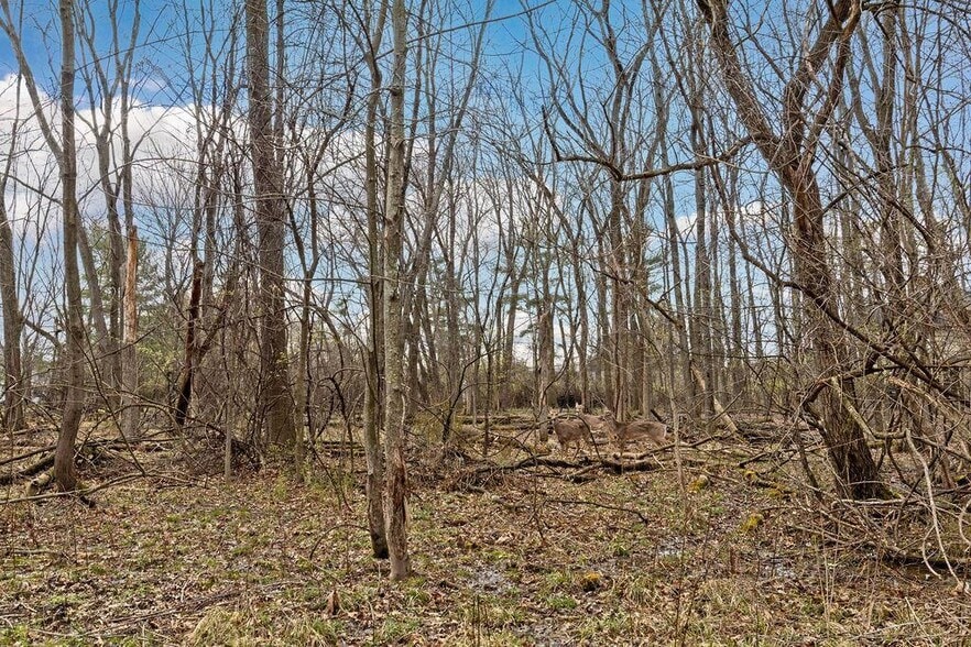 More Photos Of 132-136 Highland Ave, Worthington Land For Sale