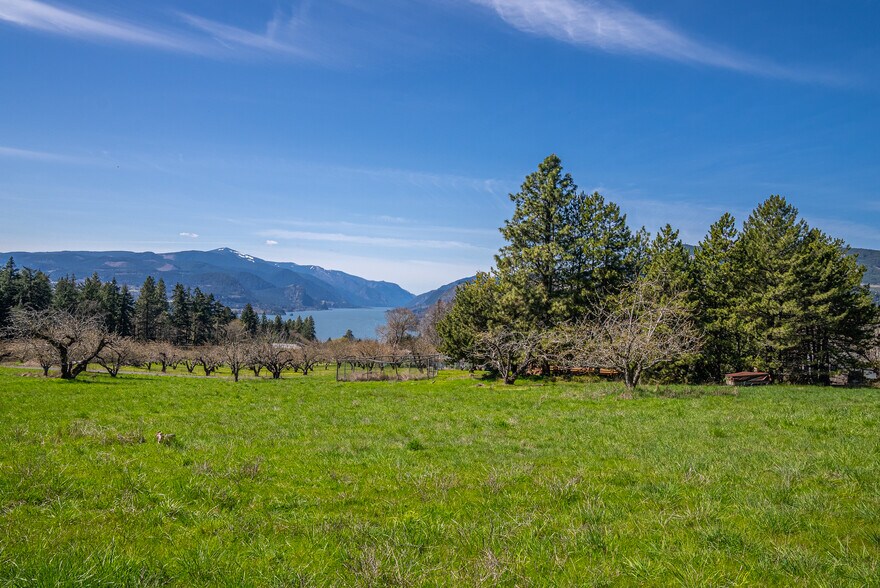 More Photos Of SW Cherry Blossom Lane @ Eyrie, White Salmon Land For Sale