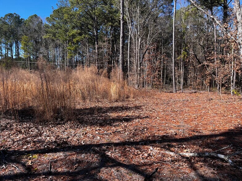 More Photos Of 1284 NC 50, Benson Land For Sale