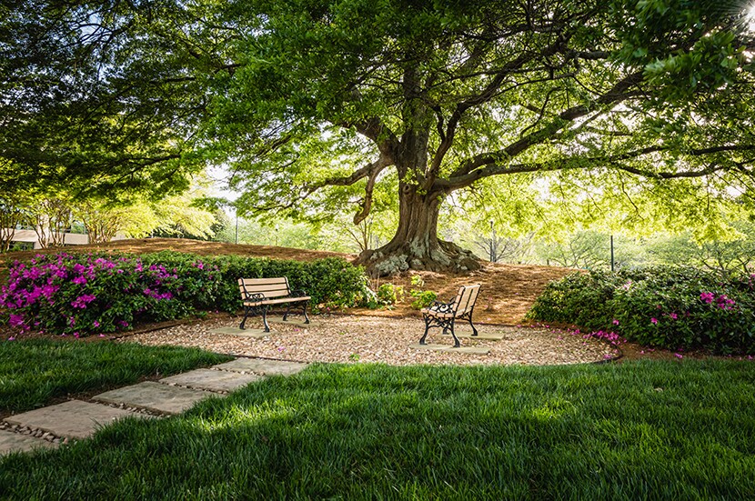 More Photos Of 12725 Morris Rd, Alpharetta Office For Lease