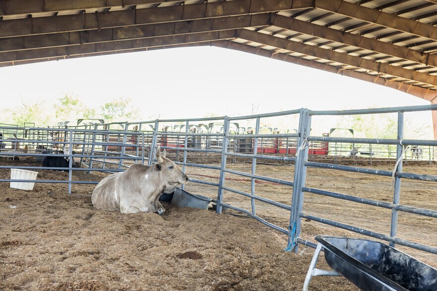 More Photos Of 8519 State Park Rd, Lockhart Land For Sale