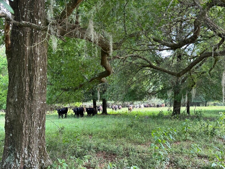 More Photos Of Millside Road, Laurel Hill Land For Sale