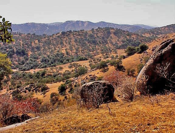 More Photos Of 38176 Cardinal, Yokuts Valley Land For Sale