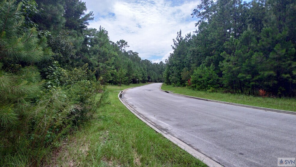 More Photos Of 130 Basswood Dr, Savannah Land For Sale