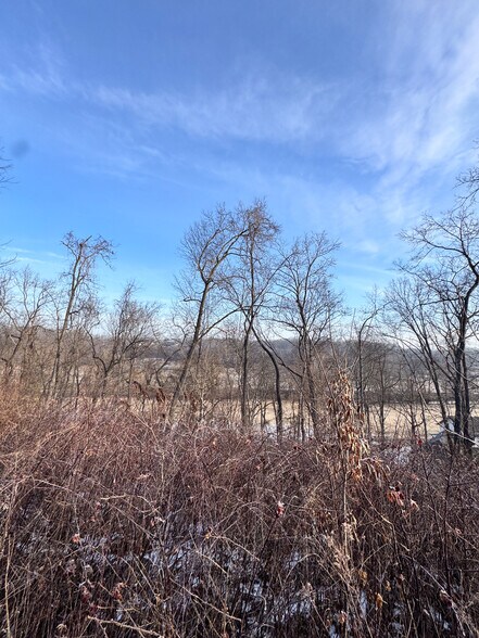 More Photos Of Willis Lane, Pea Ridge Land For Sale