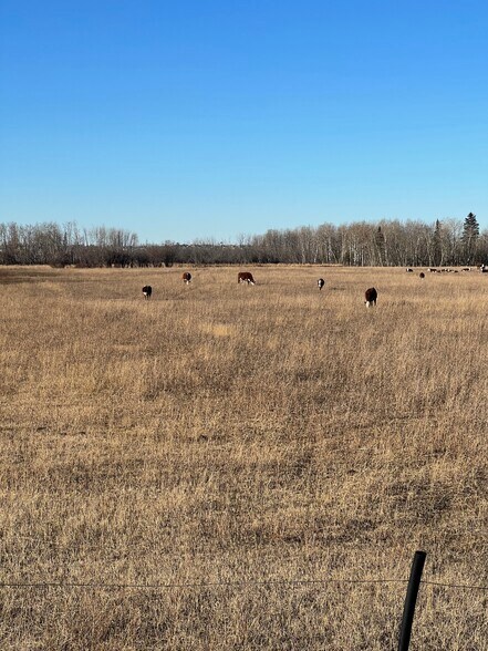 More Photos Of SE-32-71-5-W6, Grande Prairie Land For Sale