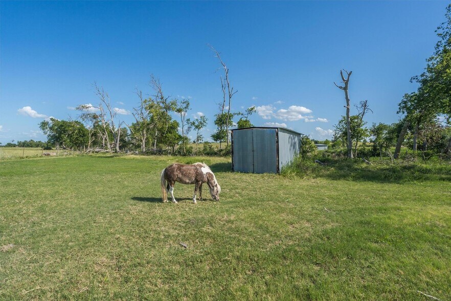 More Photos Of 3007 County Road 303, Jarrell Land For Sale
