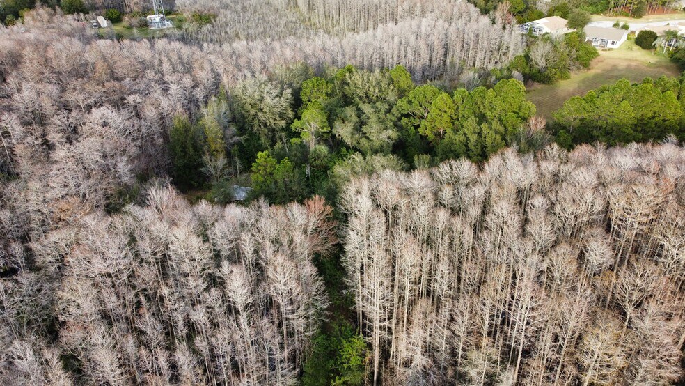 More Photos Of 18610 US Highway 19, Hudson Land For Sale