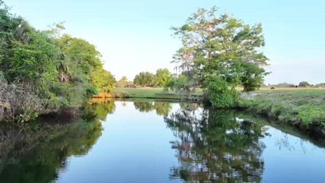 Primary Photo Of 15871 N River Rd, Alva Land For Sale