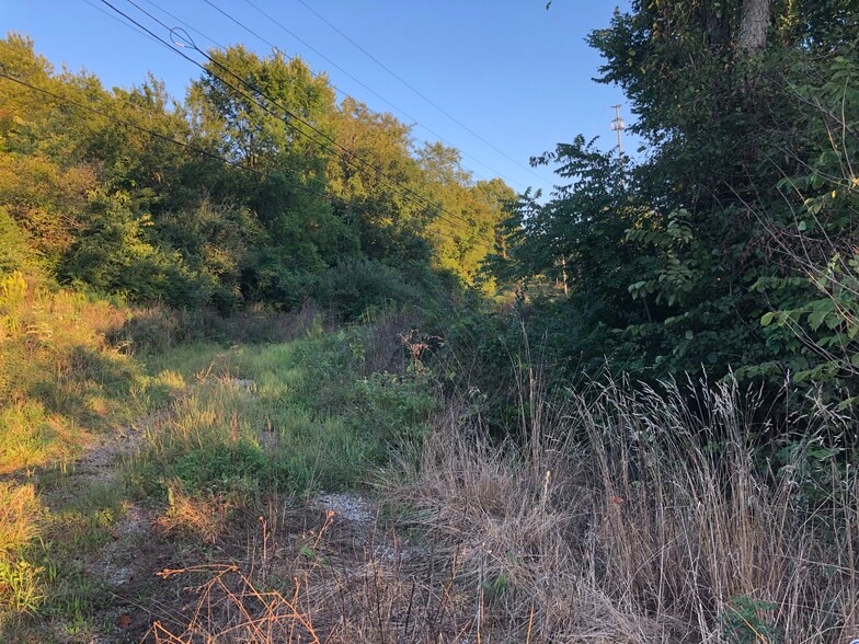 More Photos Of Ridge @ Century Drive, Jefferson Hills Land For Sale