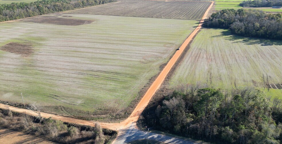 More Photos Of 0 Wiggins Road, Frisco City Land For Sale