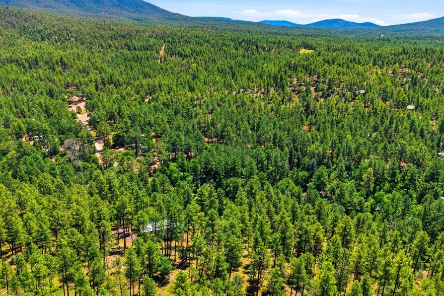 More Photos Of 1355 E Christopher Creek Loop, Payson Hotel For Sale