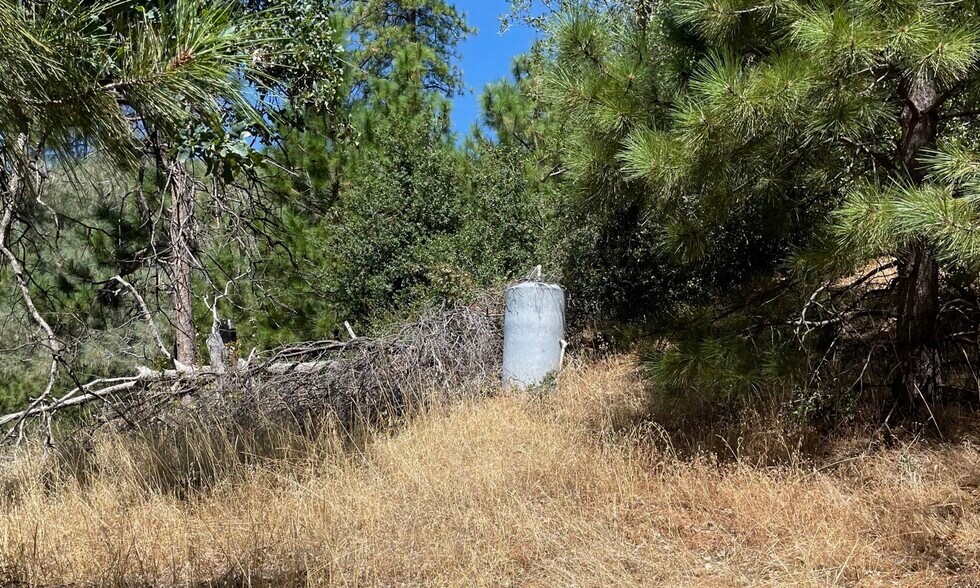 More Photos Of 00000 Forrest Road 1N19, Tuolumne Land For Sale