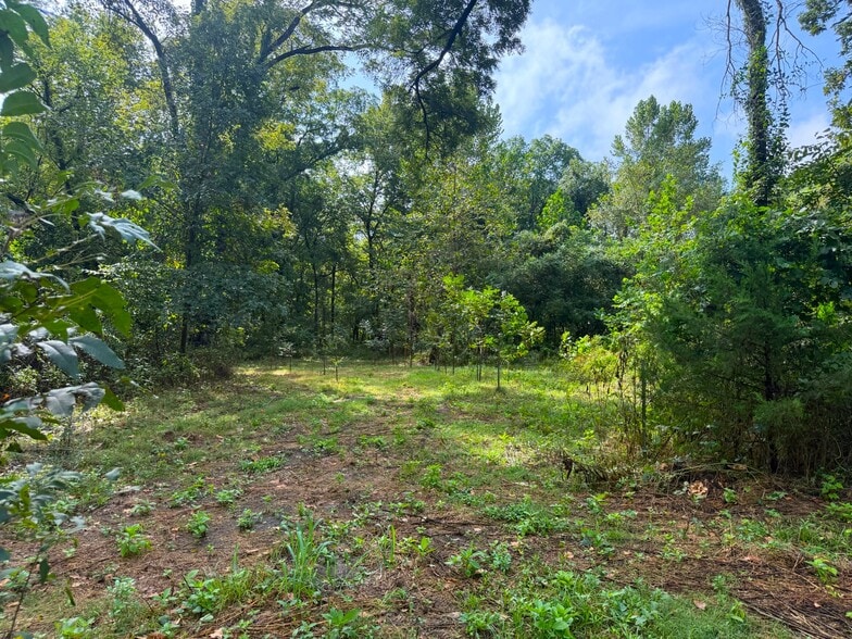 More Photos Of 17660 Golden Rd, Linwood Land For Sale