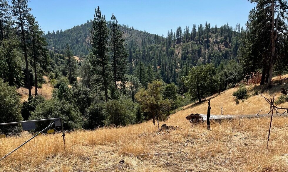 More Photos Of 00000 Forrest Road 1N19, Tuolumne Land For Sale