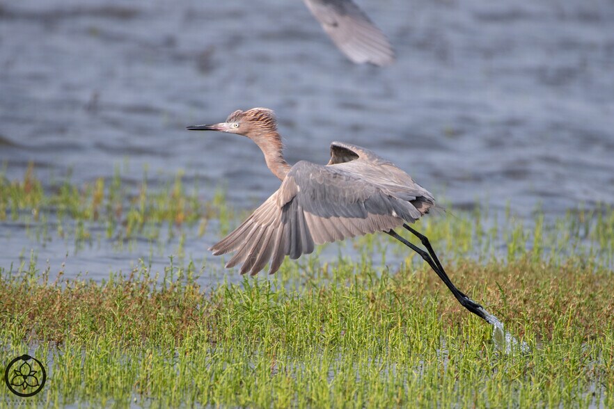 More Photos Of 1751 FM 1781, Rockport Land For Sale