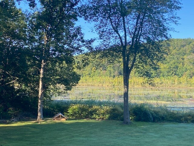 More Photos Of 152 Lily Lake Rd, Highland Land For Sale