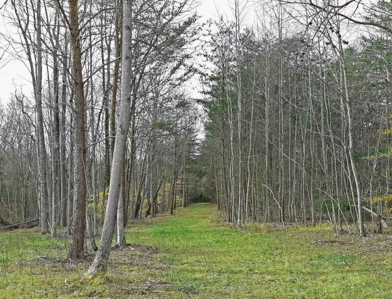 More Photos Of 564 W Main St, Yanceyville Land For Sale