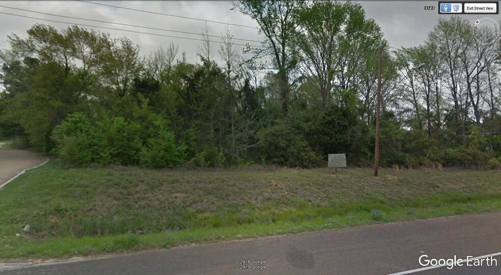 More Photos Of 3315 S Loop 256, Palestine Land For Sale