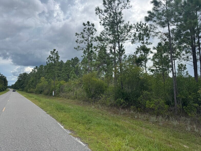 More Photos Of Noah Raulerson Road, Sanderson Land For Sale