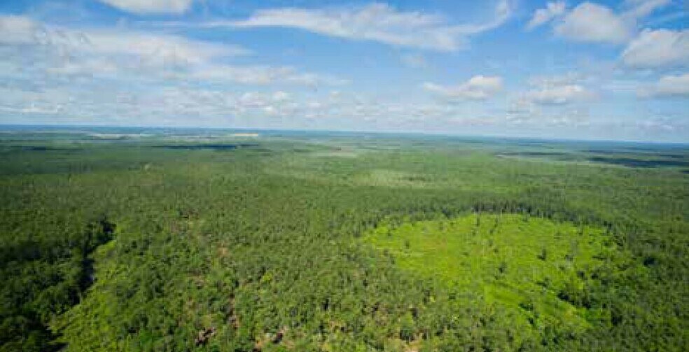 More Photos Of Castle Hayne Rd, Castle Hayne Land For Sale