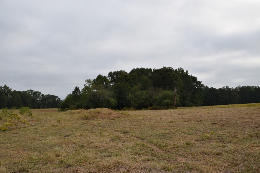 More Photos Of Spears Rd @ GA Hwy 11, Mansfield Land For Sale