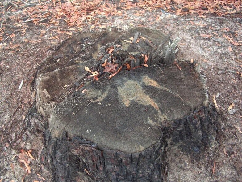 More Photos Of 7471 Hwy 155, Saline Land For Sale