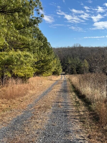 More Photos Of 461 Thunderbird Rd, Bentonville Land For Sale