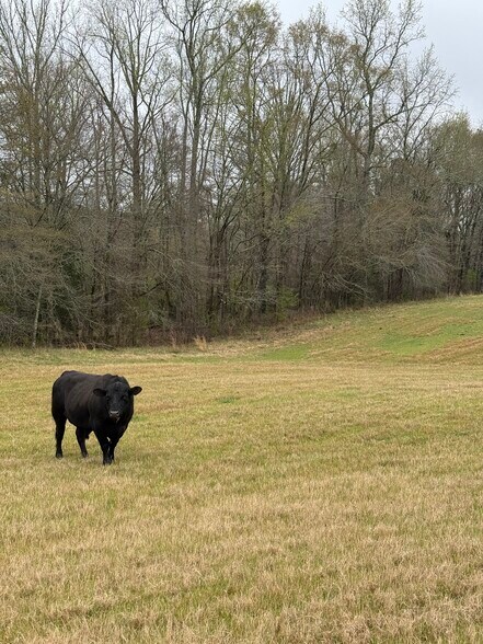 More Photos Of 1681 Sibley School rd, Greensboro Land For Sale