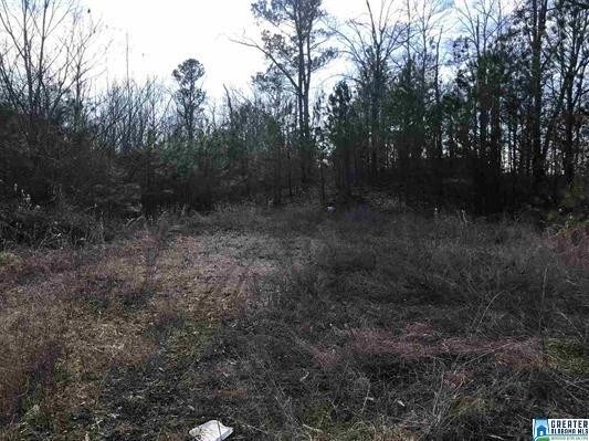 More Photos Of 12970 Highway 25, Calera Land For Sale